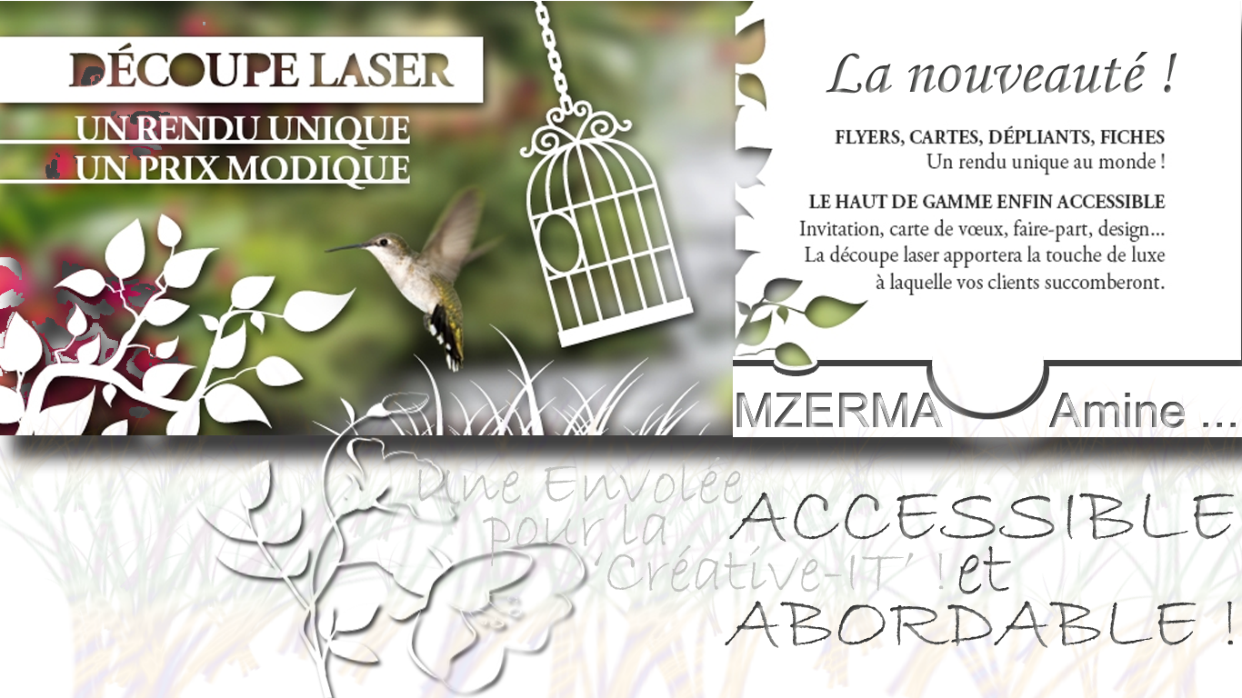 La_Decoupe-Laser